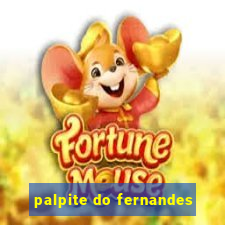 palpite do fernandes